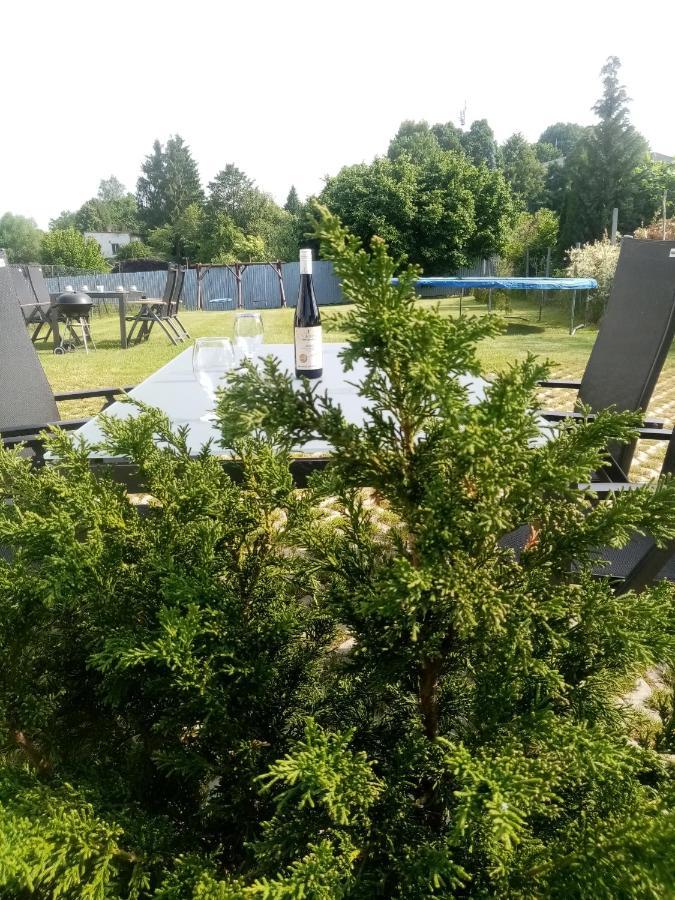 Apartmany Kohoutek A Slepicka V Novohradskych Horach Nové Hrady Eksteriør bilde